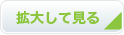 拡大して見る